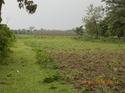 Conversion Land Sale Near Alipurduar at Affordable Price