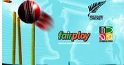 Inside the Fairplay Gaming Platform: What Makes It a Reliable Choice f